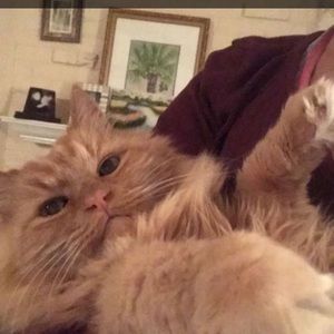 Meet your Posher, Sam